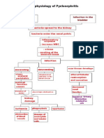 Pa Tho Physiology of Pyelonephritis