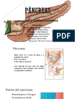 Pancreas