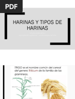 Harinas y Tipos de Harinas-1