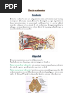 Nervio Oculomotor