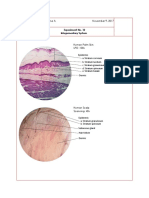 HIstology Experiment 12