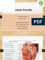 Tumor Parotis Fix