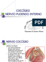 08 NCOCCi GEOYPUDENDOINTERNO