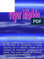 Vigor Hibrido