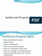 Intellectual Property Rights