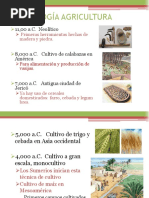 Historia Agricultura