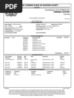 SP SimpleAssault CommonPleas Docket PDF