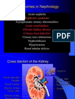 Nephrotic Syndrome