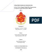 Laporan Praktikum Biologi Molekuler RFLP