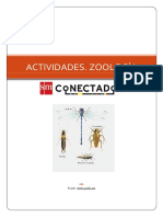 Clasificación de Los Artrópodos PDF