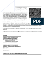 Flora Intestinal PDF