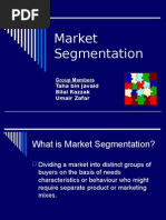 Market Segmentation