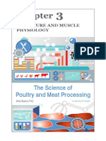 SciPoultryAndMeatProcessing - Barbut - 03 Structure & Physiology - v01 PDF