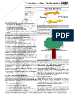 Resumo Jaula Contitucional