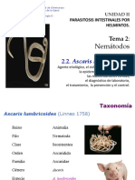 Tema 2 Helmintos Nemátodos 2 (1) .2 Ascaris Lumbricoides