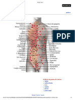 Puntos - Torso PDF