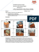 Informe 10 - Hemaglutinación Vírica