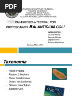 Balantidium Coli