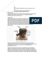 Materi Service Engine