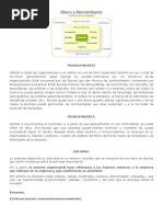 Macro y Microambiente