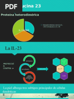 Interleucina 23