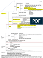 Esquema Organización Administrativa Española 07-08