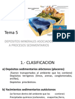 Tema 5 Yaciminetos de Origen Sedimentario