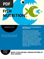 Fish Nutrition