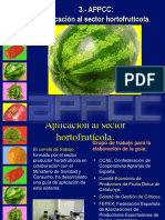 Aplicacion Haccp - Productos Hortofruticolas