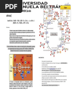 Resumen Ciclo de Krebs