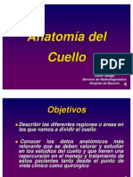 Anatomia Cuello Oleaga