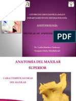 Técnicas Anestésicas Del Maxilar Superior - Parte 1 