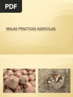 Malas Practicas Agricolas