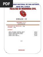 1 Informe-Consolidacion