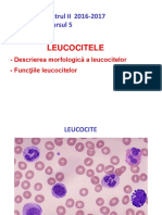 Fiziologie (Cursul 5)