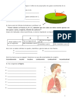 Ficha Avaliacao 6º Ano Ar e Sistema Respiratorio PDF