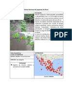 Fichas Técnicas de Especies de Flora