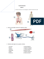 TALLER DE BIOLOGIA 7° Tejidos