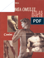 Atlas Anatomia Omului