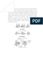 Cara Reproduksi Fungi