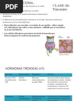 ENDOCRINOFISIOLOGÍA Tiroides y Paratiroides