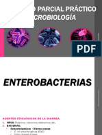 Microbiología: Segundo Parcial Práctico