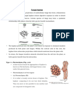 Fungal Hyphae: Type # 1. Plectenchyma (Fig. 1.12)