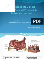 Gastroenteritis Delmy