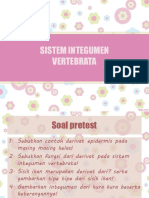 Sistem Integumen