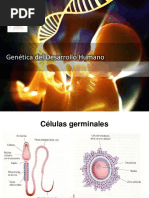 Genetica Del Desarrollo Huamano UPSJB 2017