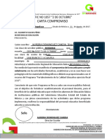 Carta Compromiso Pfce