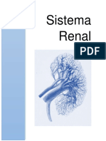 Practica Laboratorio de Fisiolofia Sistema Renal