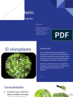 Cloroplasto