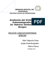 Grupo#3 Region Gingivodentaria (Encia)